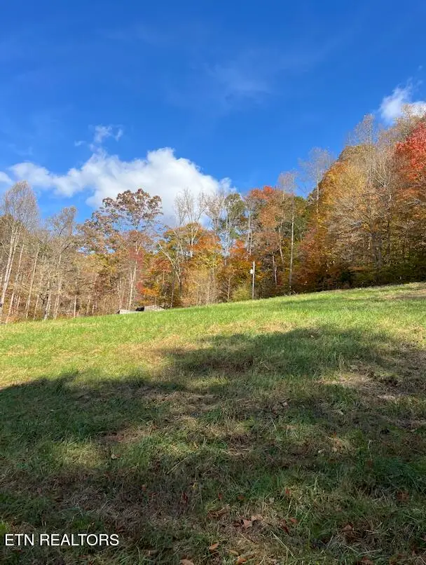 324 Vannoy Rd, Tazewell, TN 37879 - #3