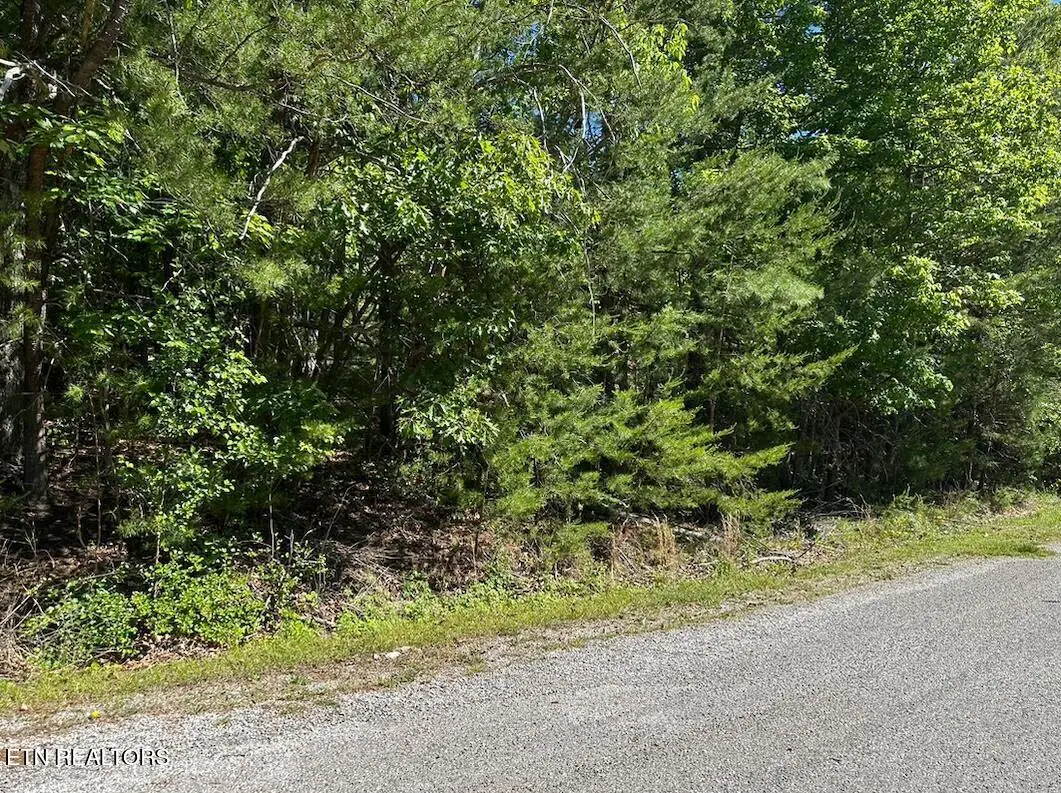 16 Norwood Place, Crossville, TN 38558 - #1