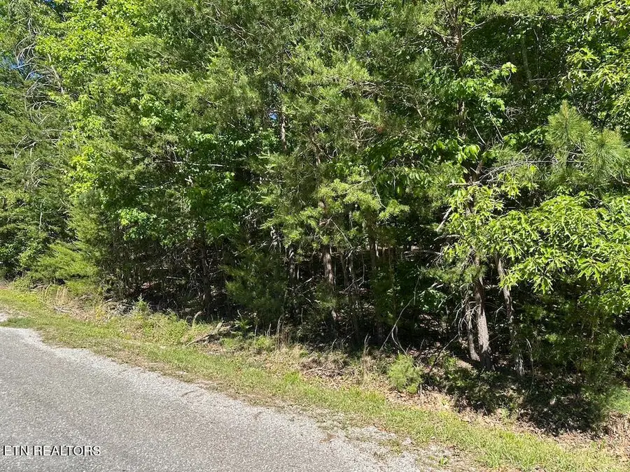 16 Norwood Place, Crossville, TN 38558 - #2