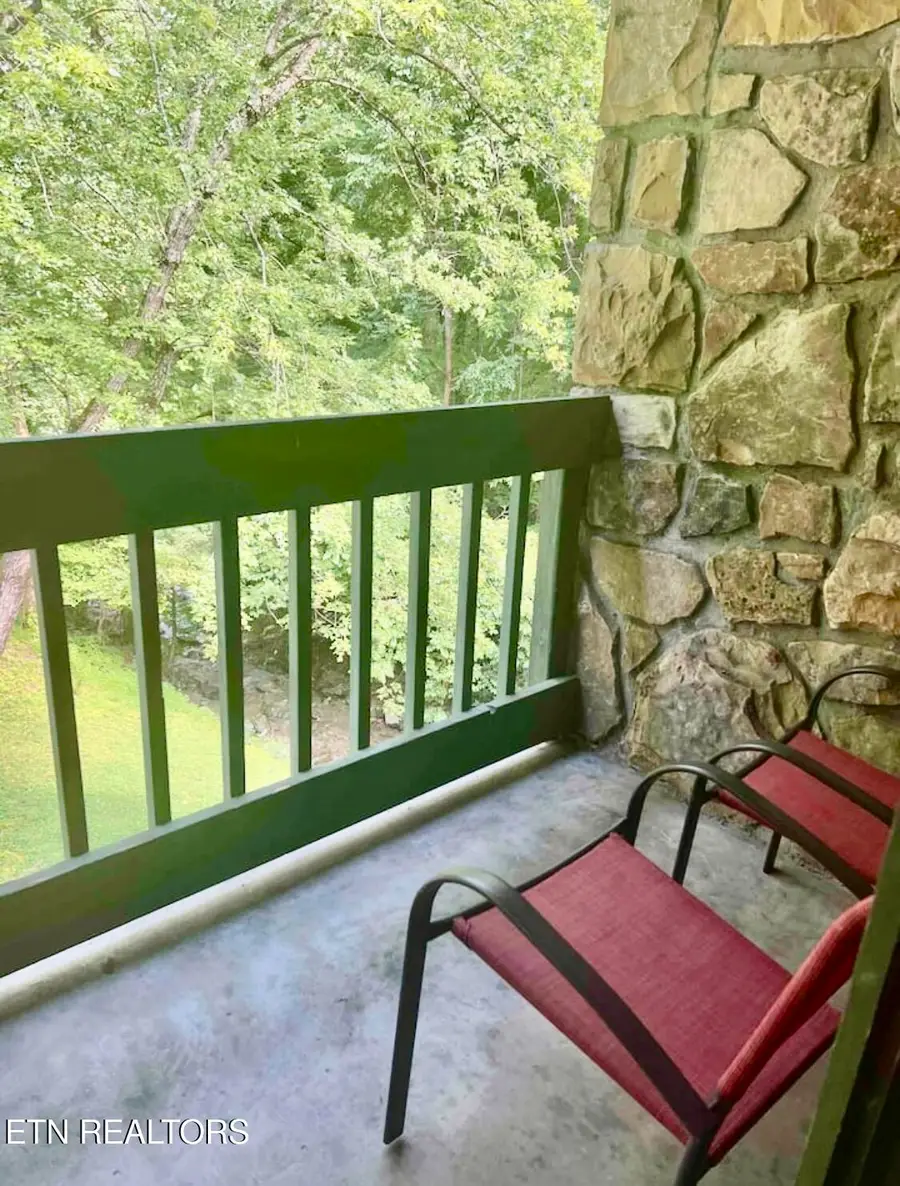 1435 Wiley Oakley Drive #UNIT 172, Gatlinburg, TN 37738 - #2
