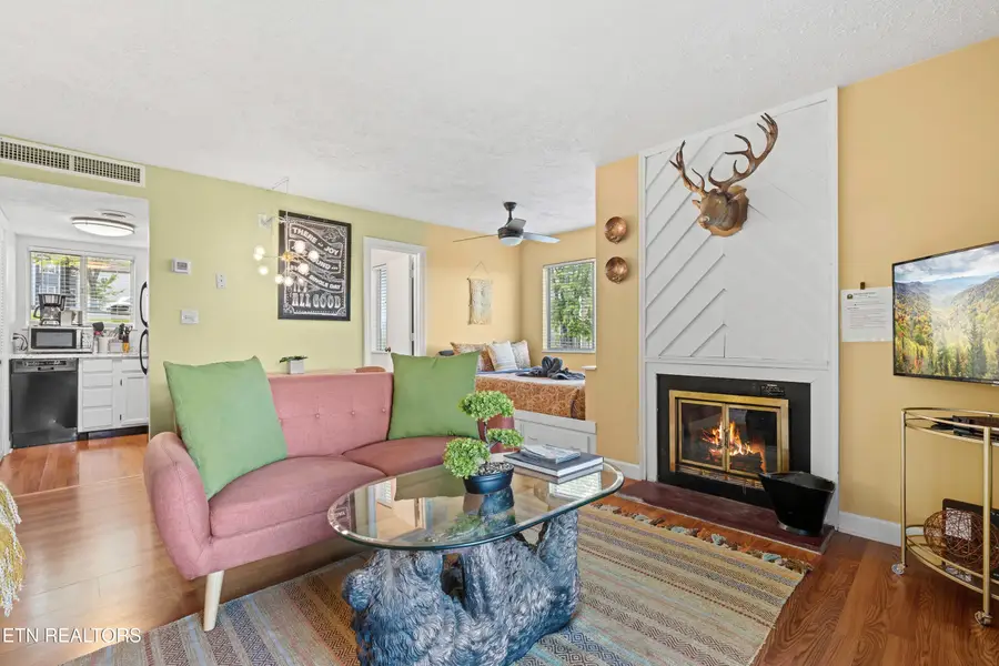 1260 Ski View Drive #APT 8108, Gatlinburg, TN 37738 - #3