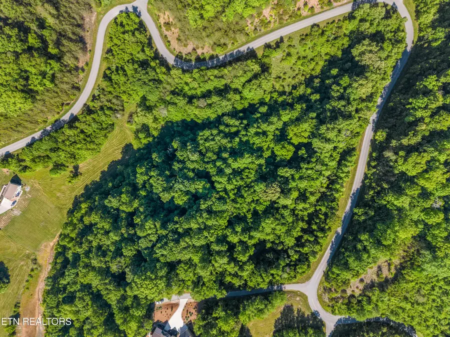 Lot 487 Magnolia Lane, Sharps Chapel, TN 37866 - #2