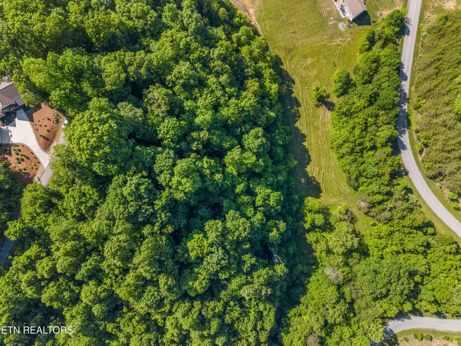 Lot 487 Magnolia Lane, Sharps Chapel, TN 37866 - #3