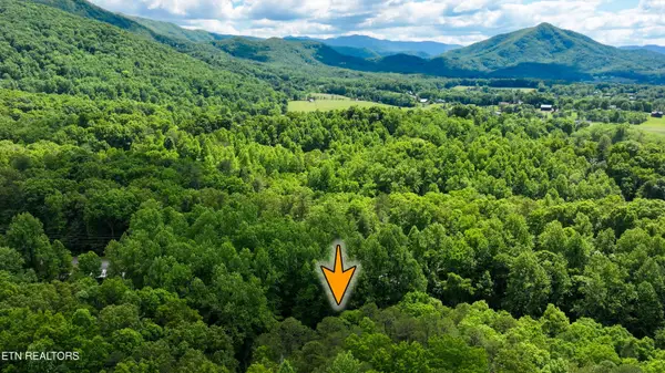 Covemont Lane, Sevierville, TN 37862