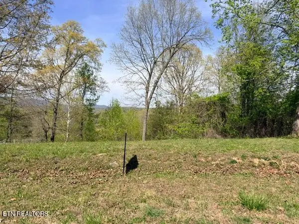 Lot 74 Saddleridge Drive, Speedwell, TN 37870