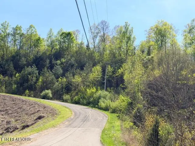 Lot 74 Saddleridge Drive, Speedwell, TN 37870 - #2