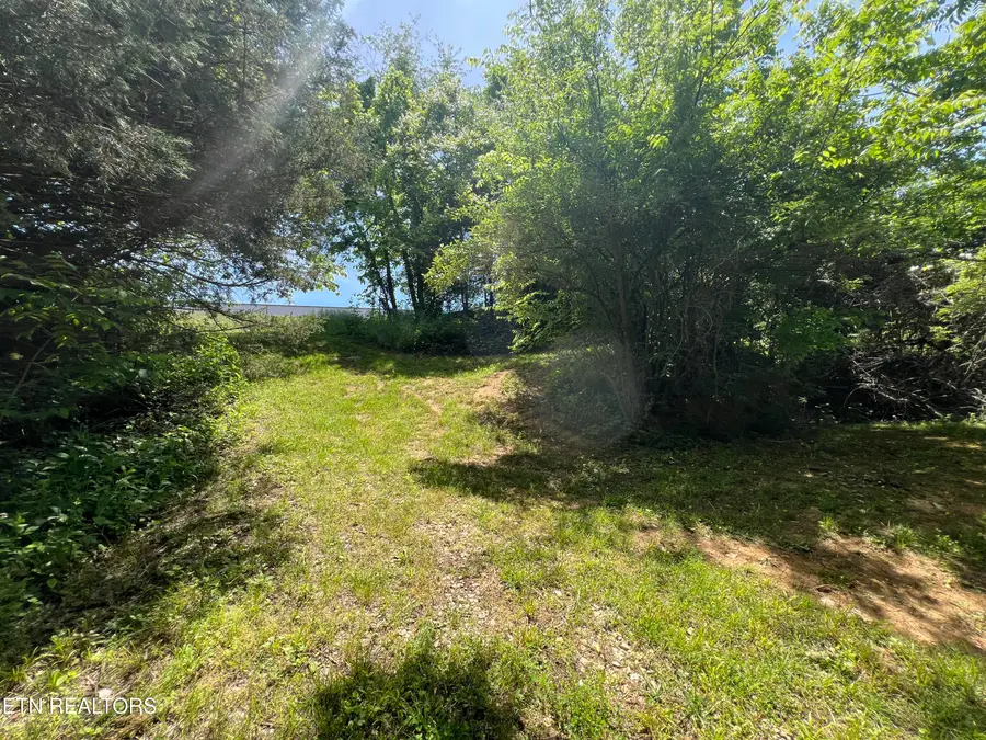 Lot 4C Wilson Rd, Sevierville, TN 37862 - #3