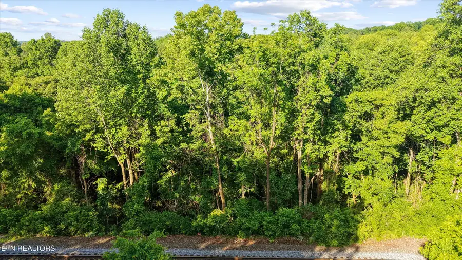 L-19 Dry Gap, Knoxville, TN 37912 - #3