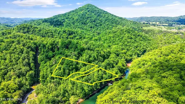 L-12 Mountain Shores Rd, New Tazewell, TN 37825