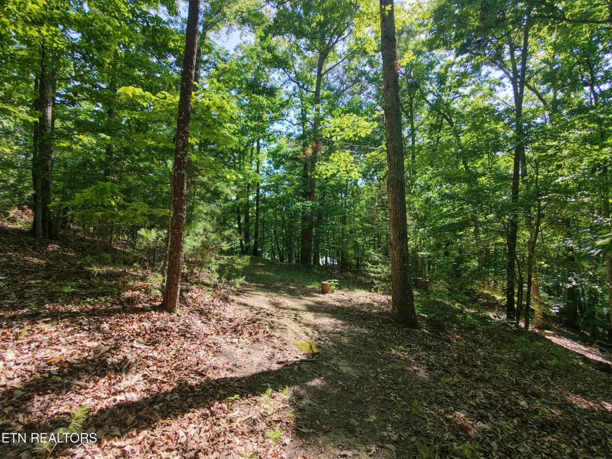 Boulder Way, Newport, TN 37821 - #1