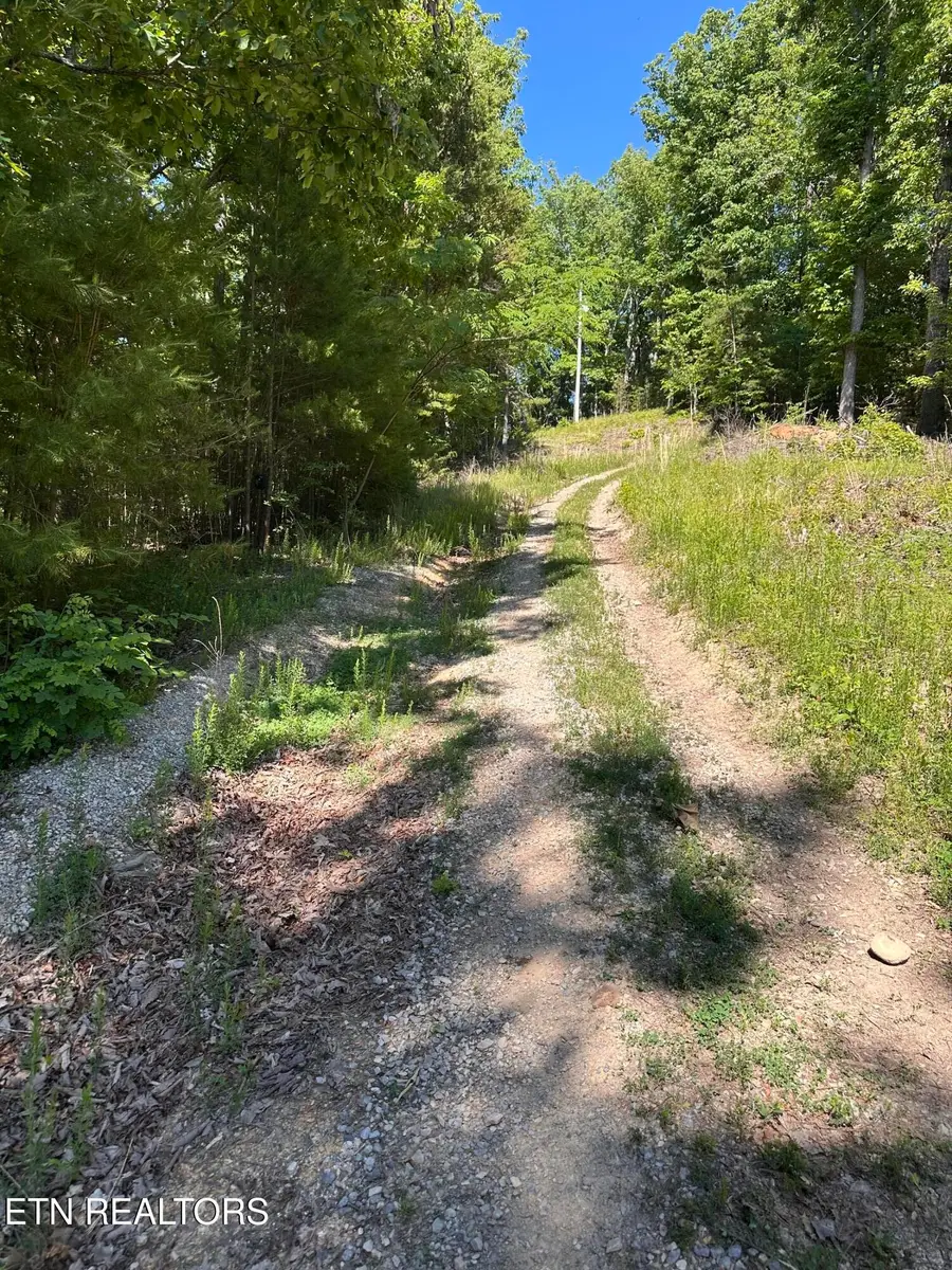 Boulder Way, Newport, TN 37821 - #2