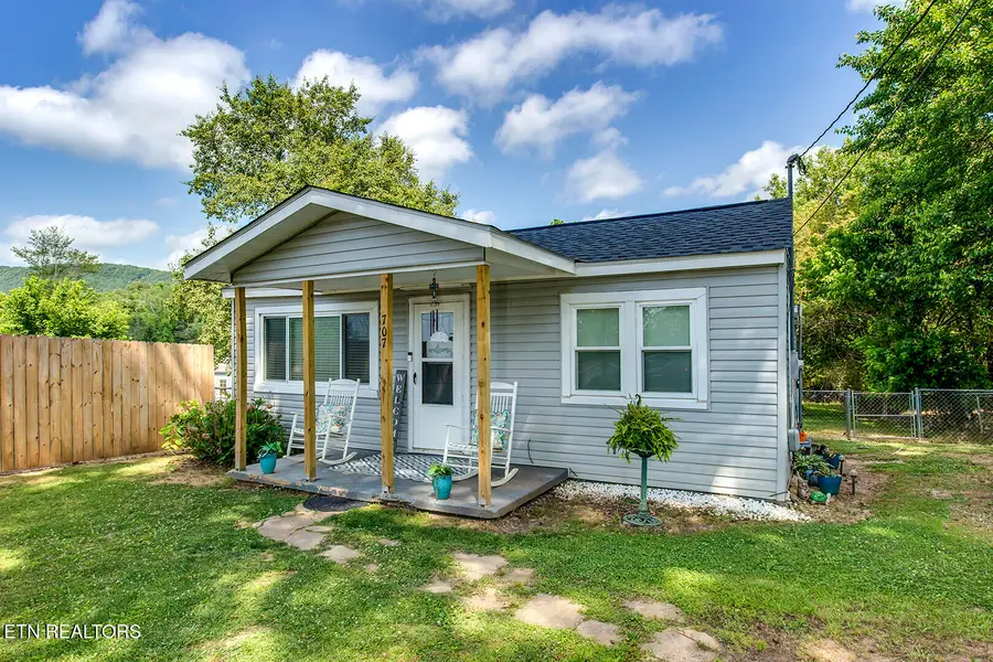 707 Vine Ave, Rockwood, TN 37854 - #2