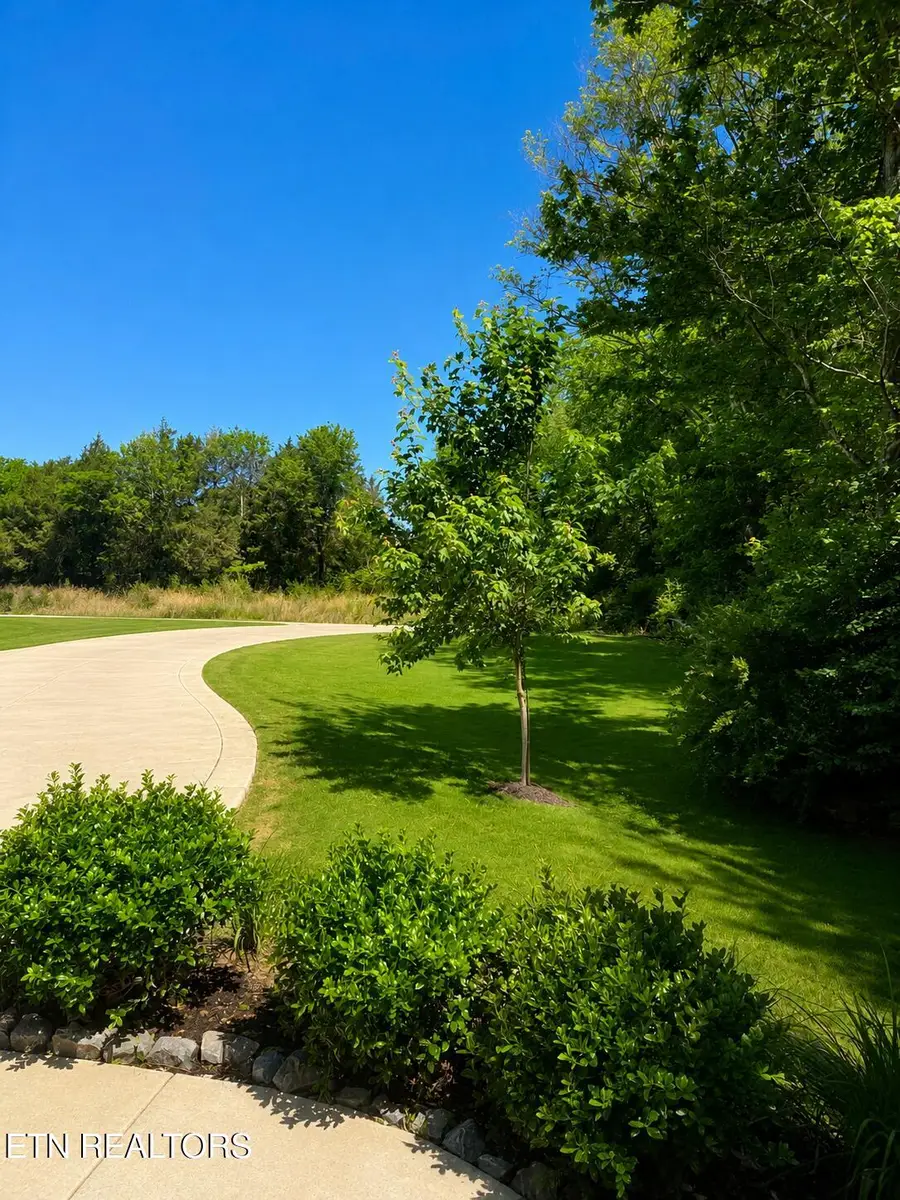 103 Belle Way, Athens, TN 37303 - #3