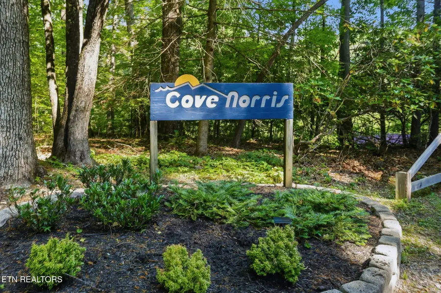 1068 N Shorewood Drive, Caryville, TN 37714 - #2