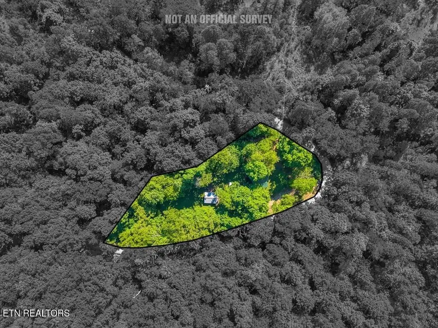 755 Woody Rd, Byrdstown, TN 38549 - #2
