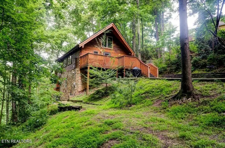 833 Stans Rd, Gatlinburg, TN 37738 - #1