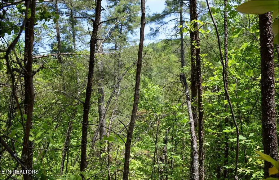 Rich Mountain Way, Sevierville, TN 37876 - #3