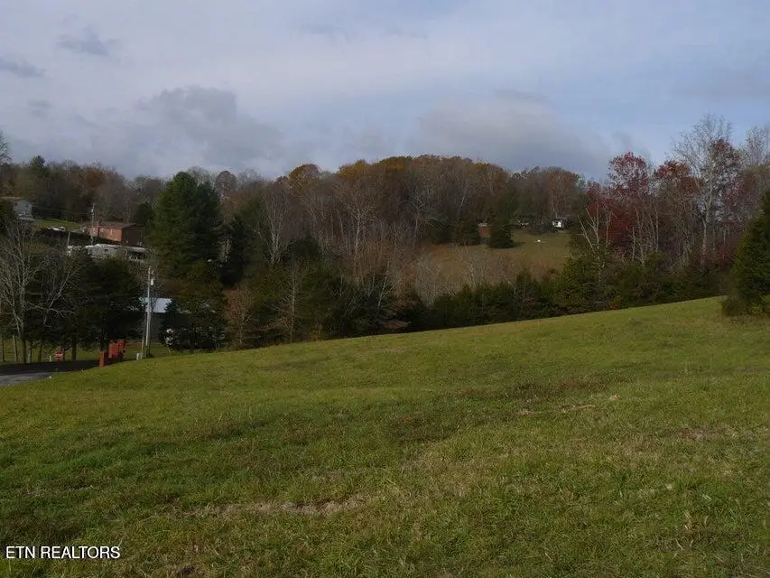 117 Henley St, Tazewell, TN 37879 - #2