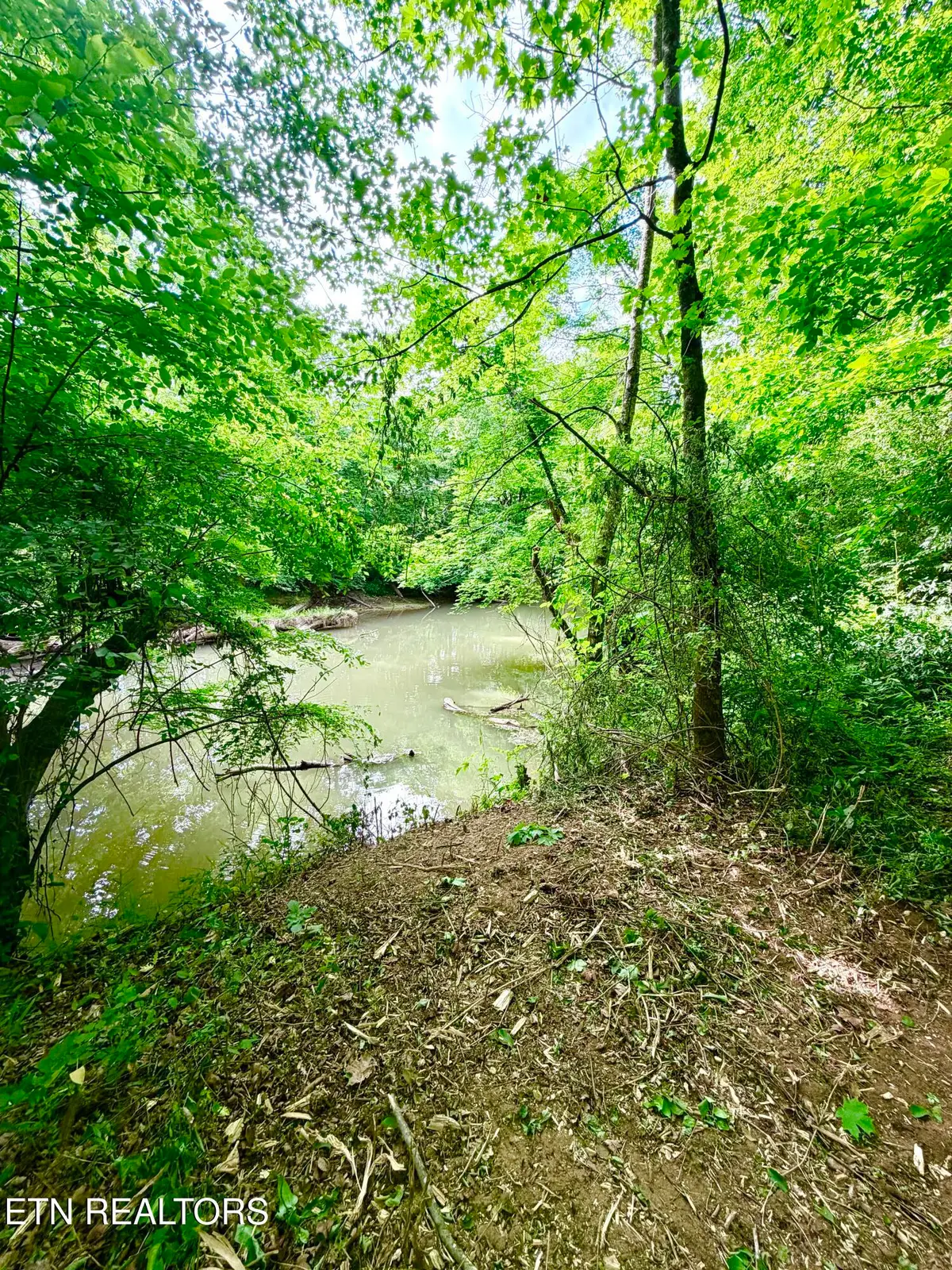 811 Trigonia Rd, Maryville, TN 37801 - #1