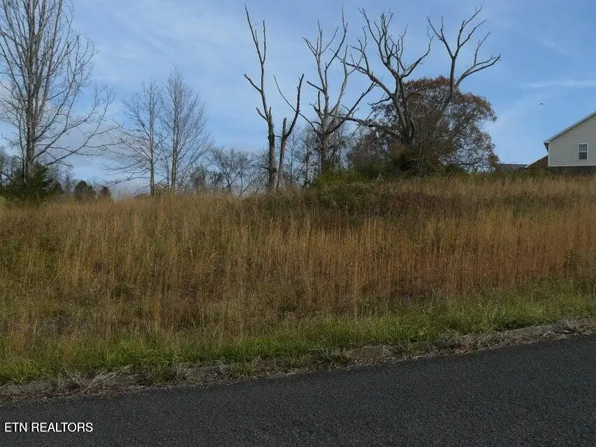 141 Henley St, Tazewell, TN 37879 - #1