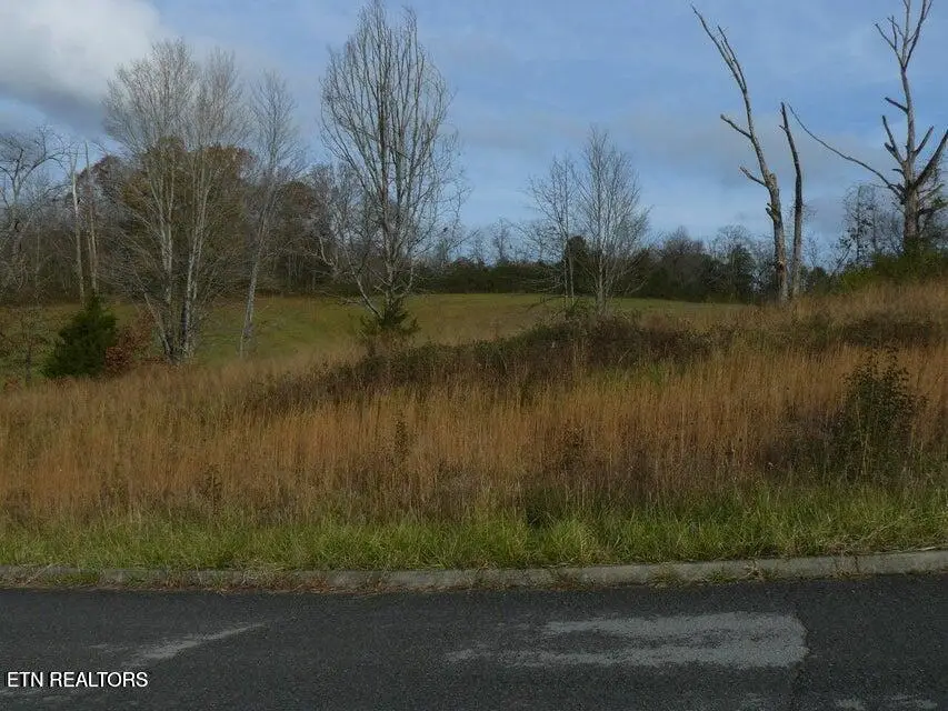 141 Henley St, Tazewell, TN 37879 - #2