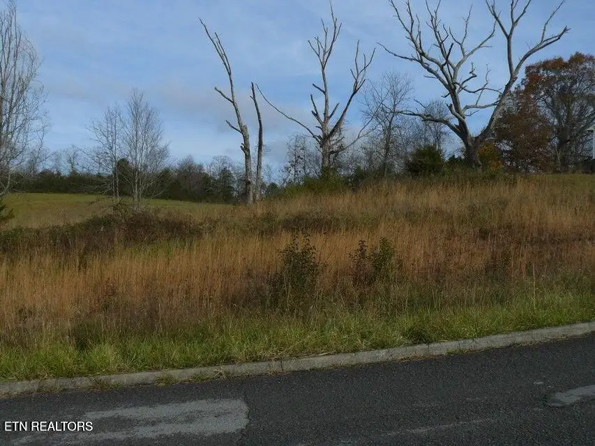 141 Henley St, Tazewell, TN 37879 - #3
