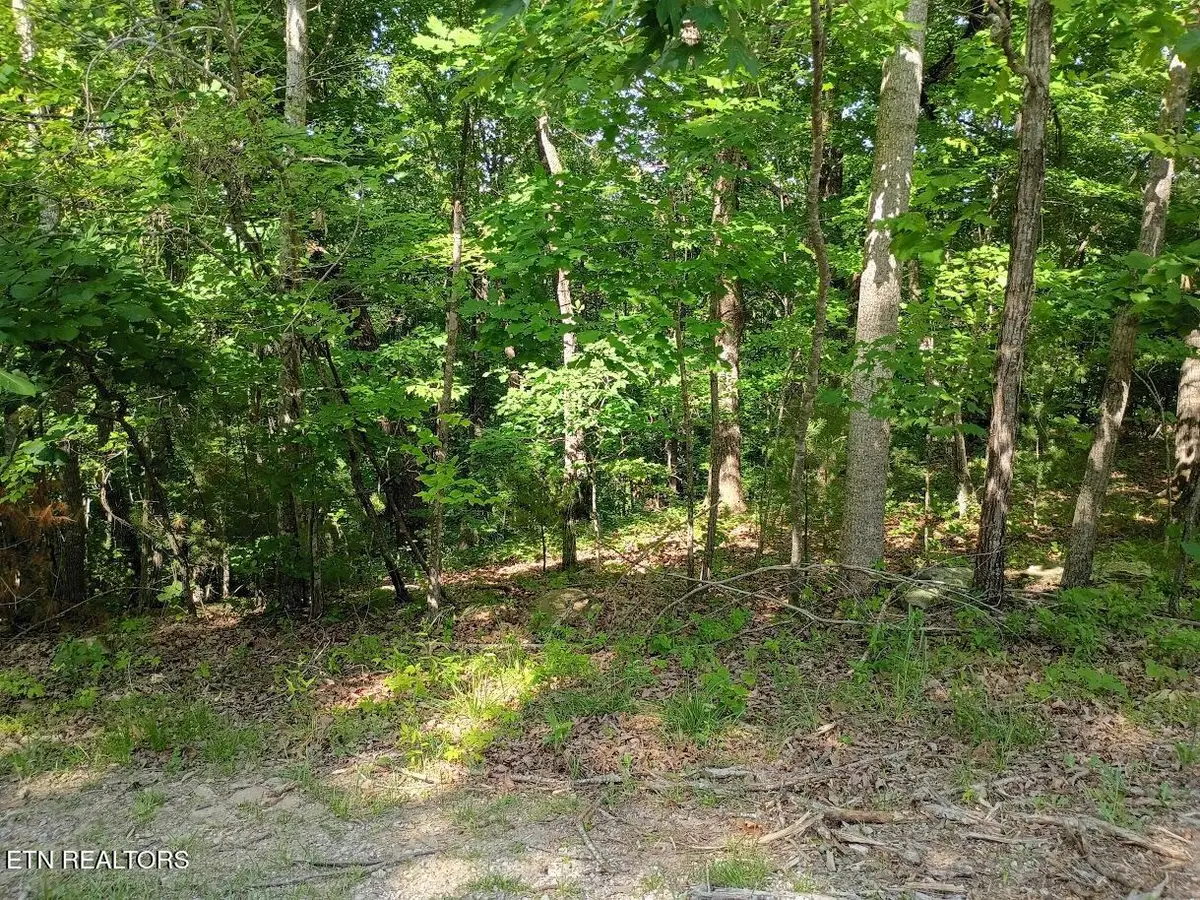139 Havenridge Circle, Crossville, TN 38558 - #1