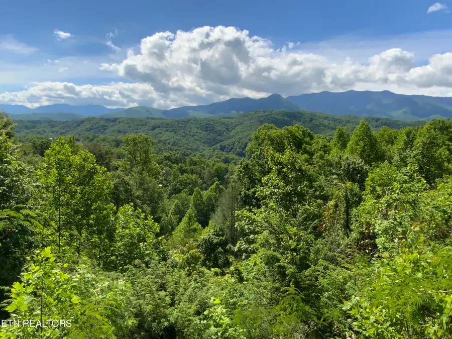 505 Crest Rd, Gatlinburg, TN 37738 - #3