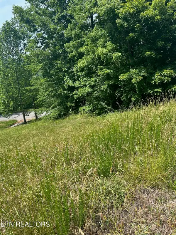 lot 214 Suncrest Cove, LaFollette, TN 37766