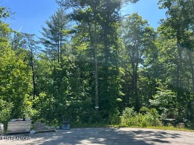 325 Beckett Ridge Rd, Townsend, TN 37882 - #1