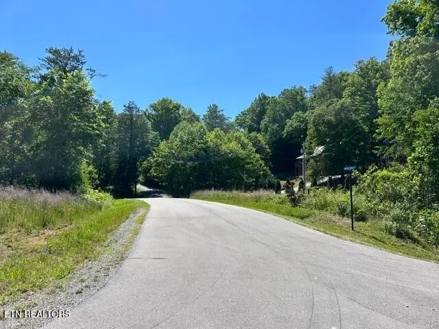 325 Beckett Ridge Rd, Townsend, TN 37882 - #3