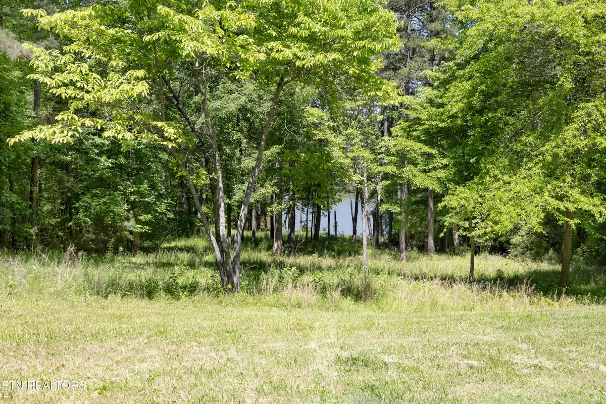 772 Wood Duck Drive, Vonore, TN 37885 - #1