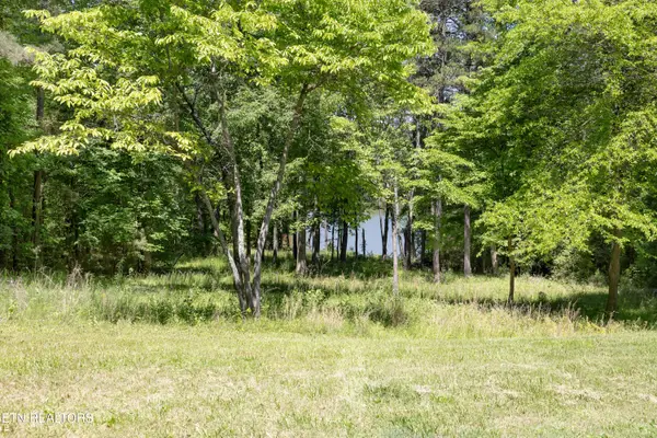 772 Wood Duck Drive, Vonore, TN 37885