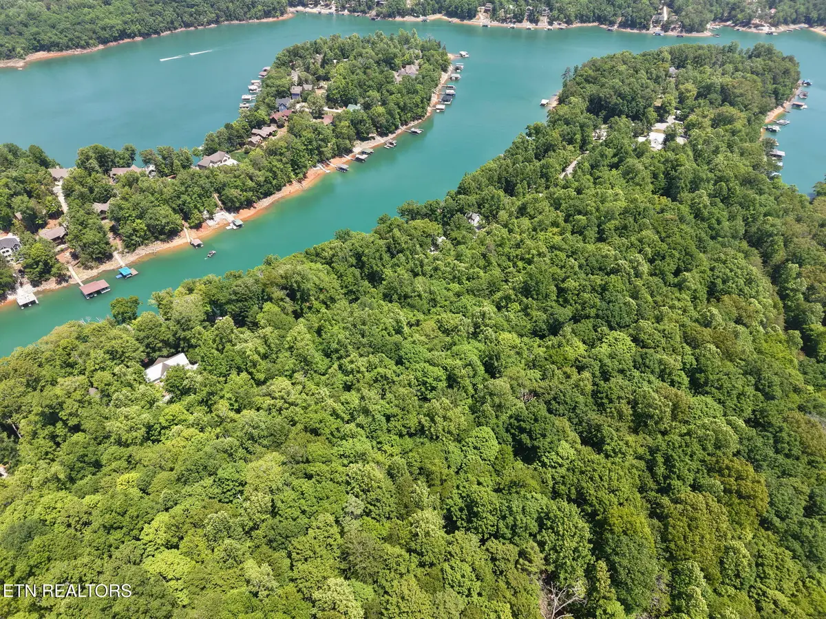 Yoakum Hollow Rd, Jacksboro, TN 37757 - #1