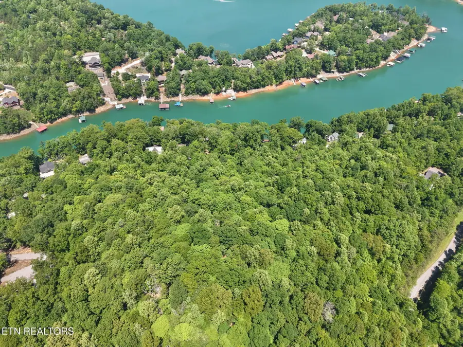 Yoakum Hollow Rd, Jacksboro, TN 37757 - #3