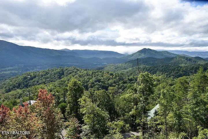 Hatcher Mtn Rd, Sevierville, TN 37862 - #3