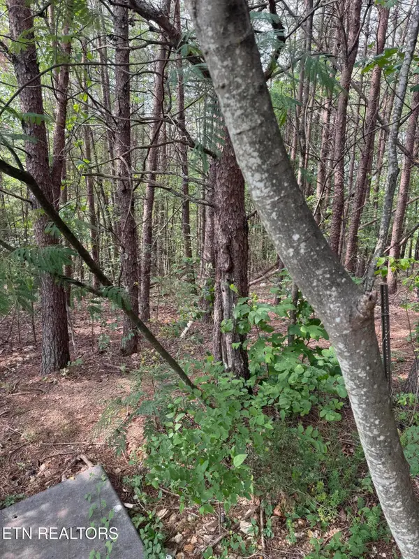 Seth Rd #14, Pigeon Forge, TN 37863