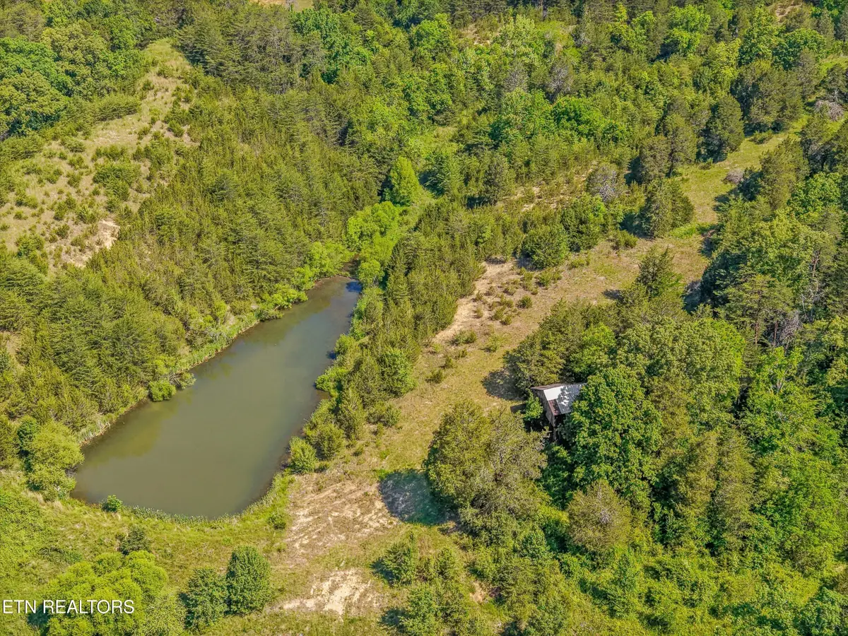 Alex Bales Rd, Kodak, TN 37764 - #1