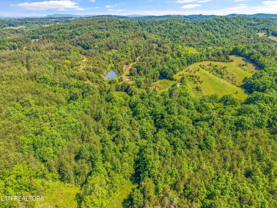 Alex Bales Rd, Kodak, TN 37764 - #2