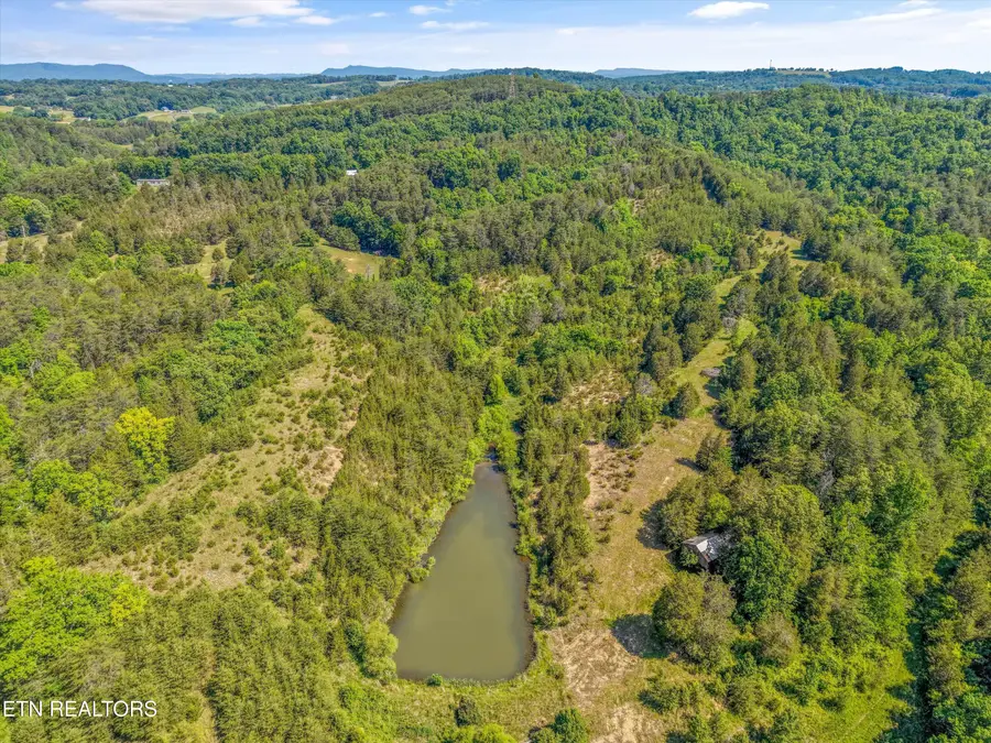 Alex Bales Rd, Kodak, TN 37764 - #3