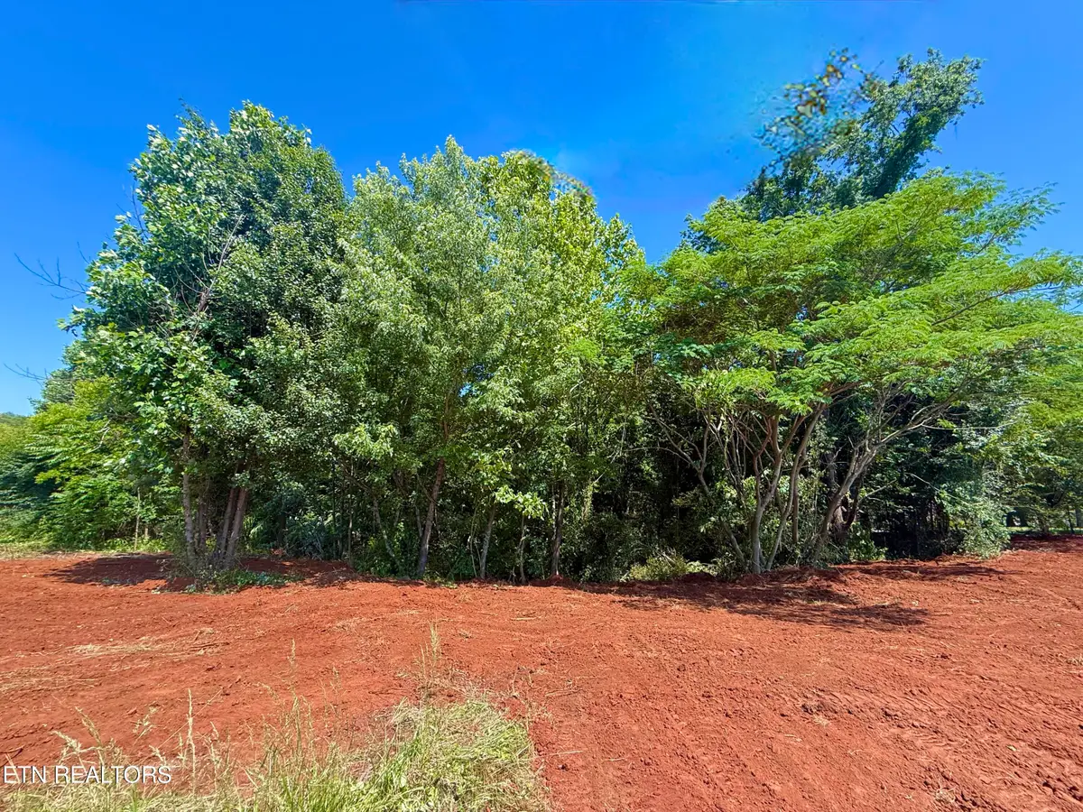 305 Oakwood Estates Drive, Lenoir City, TN 37772 - #1