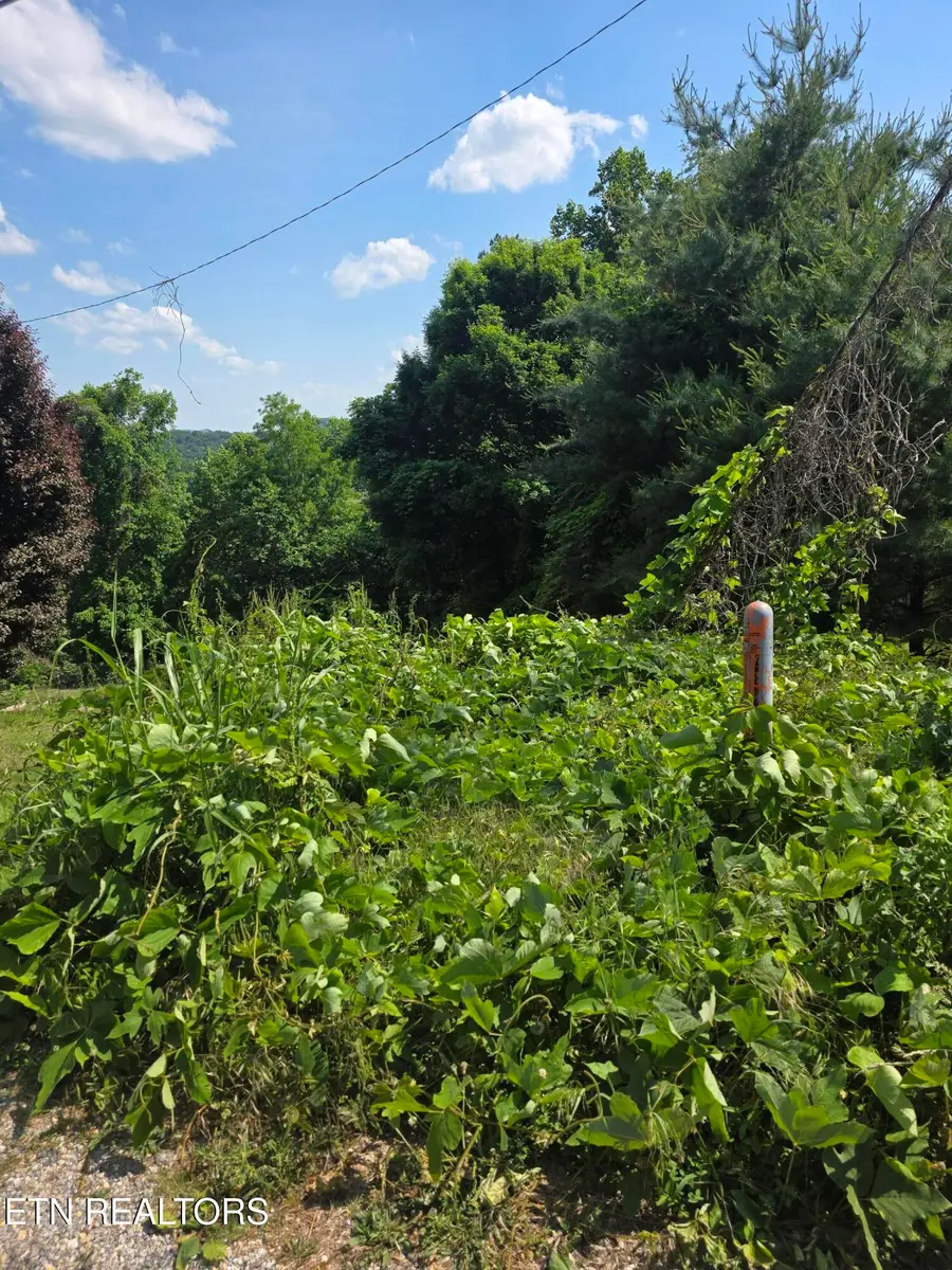 Gregory Lane, Maynardville, TN 37807 - #2