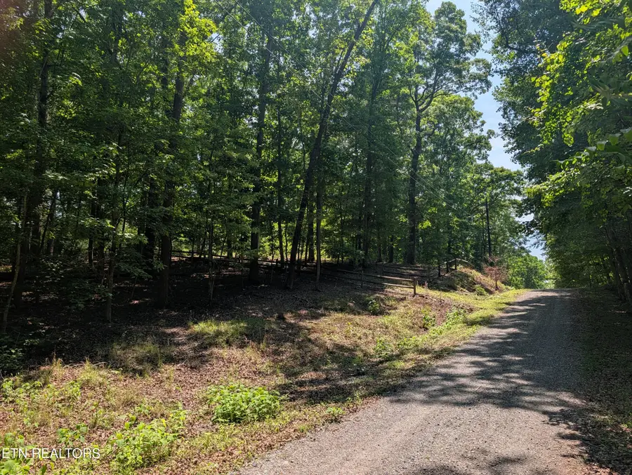 190 Fawnwood Drive, Spring City, TN 37381 - #2