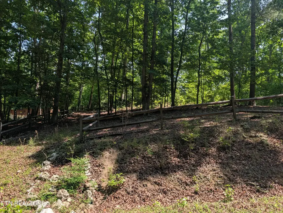 190 Fawnwood Drive, Spring City, TN 37381 - #3