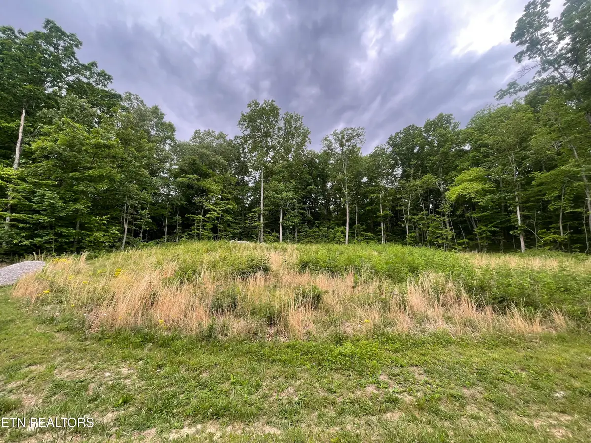 Willow Ridge Drive, Crossville, TN 38571 - #1