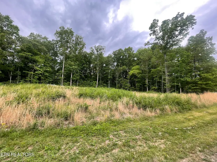Willow Ridge Drive, Crossville, TN 38571 - #2