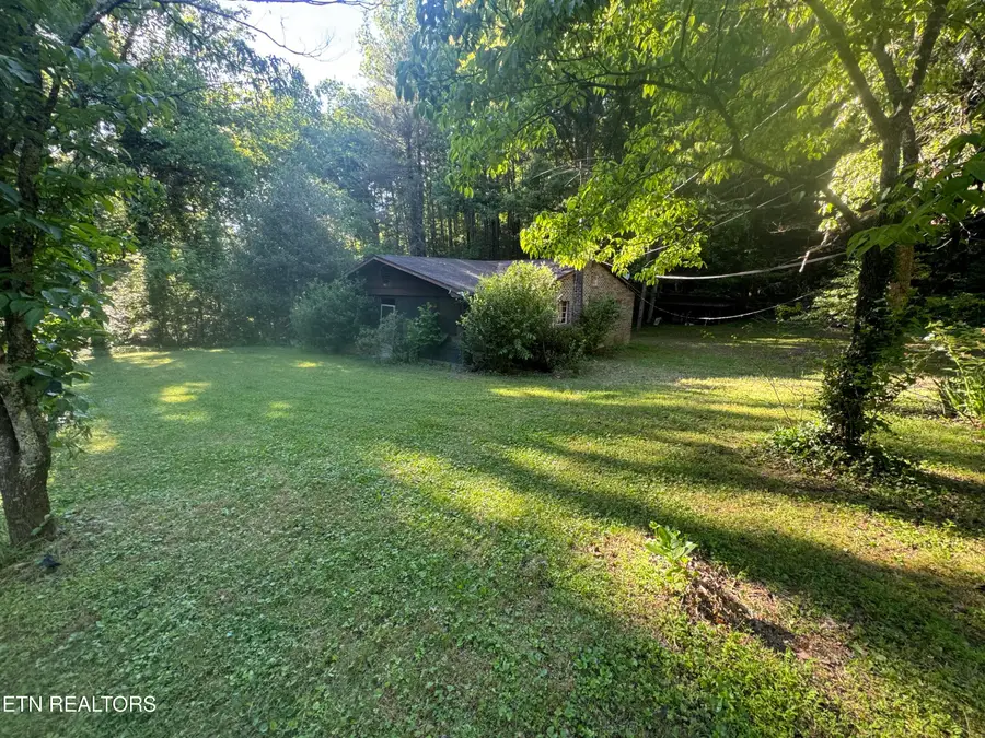 992 Chicken Hollow Rd, Newport, TN 37821 - #3