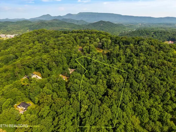 Country Mtn Rd #Lot 11, Cosby, TN 37722