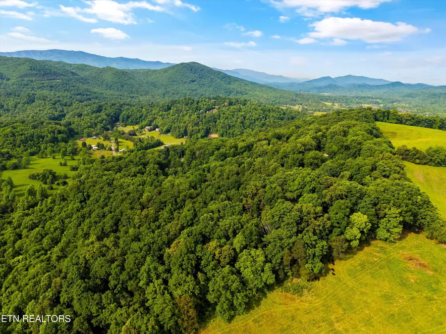 Country Mtn Rd #Lot 11, Cosby, TN 37722 - #2