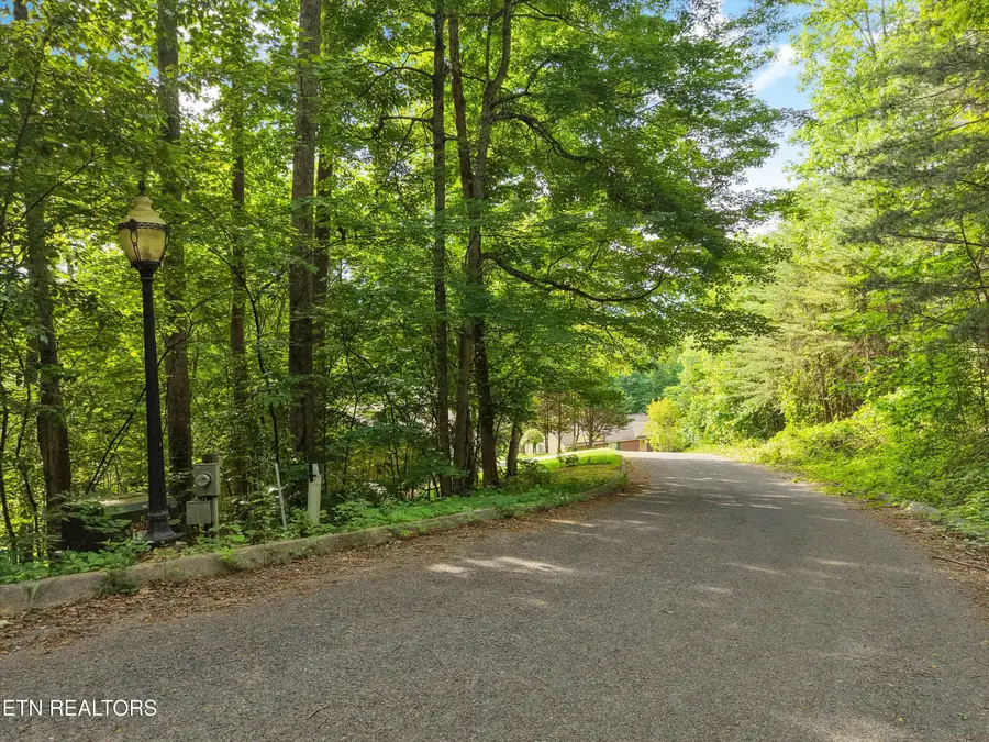 Country Mtn Rd #Lot 11, Cosby, TN 37722 - #3